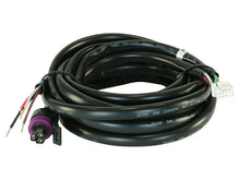 Load image into Gallery viewer, AEM Replacement Main Harness for X-Series Pressure Gauges