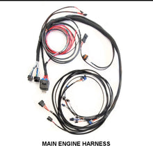 Load image into Gallery viewer, Plug n Play™ Holley EFI Harness for Dominator, Terminator X, Terminator X Max &amp; HP ECUs